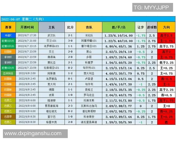 足球U的含义解析及其在足球界的重要性探讨