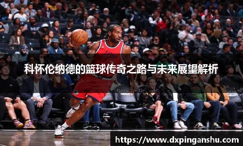 中欧体育